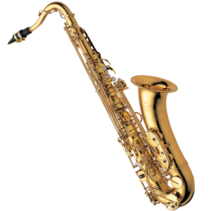 Selmer Alto Saxophone Model AS 400