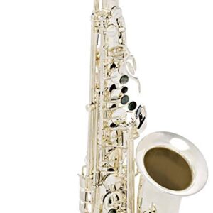 Lavoix II Alto Sax in silver