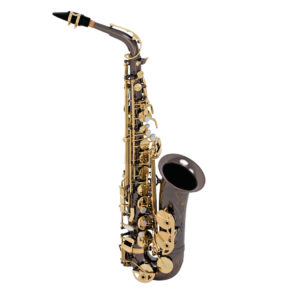 Selmer La Voix Alto SAS280RB black lacquer body, gold lacquered keys
