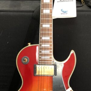 Cort Les Paul Style